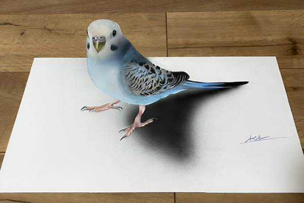 「いやいや、そんなまさか…」　セキセイインコの画像に「信じられない」の声