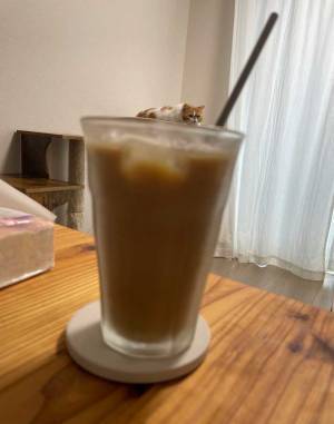 カフェオレにトッピング　上にのっているのが…「もう少々追加でー」「ぜひ摂取させて」