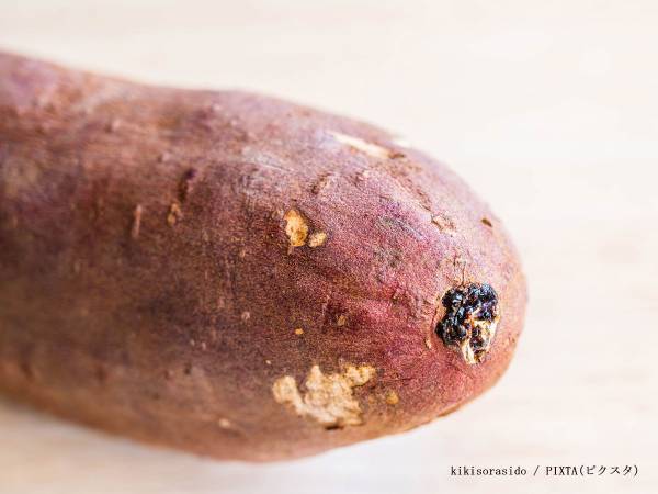 スーパーで『アタリのサツマイモ』を選ぶには？　JAが教える３つのポイント