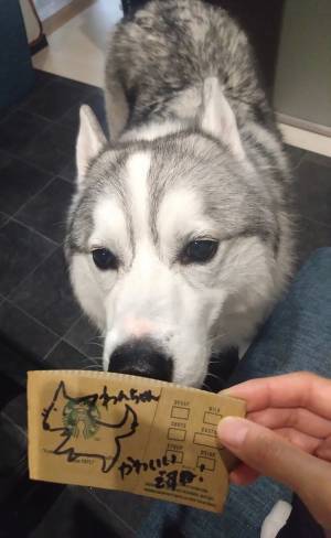 客「心遣いに癒された」　愛犬とスタバに行ったら？「これは嬉しい」「センス抜群！」