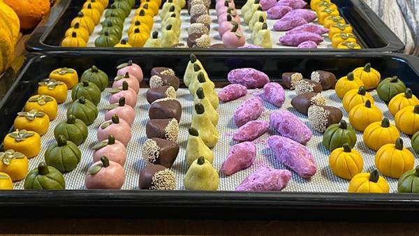 女性「これがこうなる」　色とりどりな生地を焼いたら…？