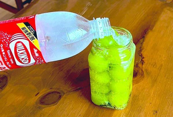 マスカットを炭酸水に入れて？　料理研究家のひらめきに「試す価値アリ」「メモする」