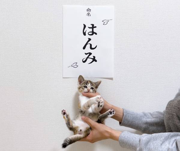 紙に愛猫の名前を書く飼い主　その理由に、１４万人が称賛