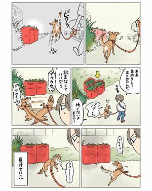 散歩中、雑草を見た犬が？　結末に「愛おしすぎる」「笑いました」