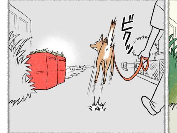 散歩中、雑草を見た犬が？　結末に「愛おしすぎる」「笑いました」