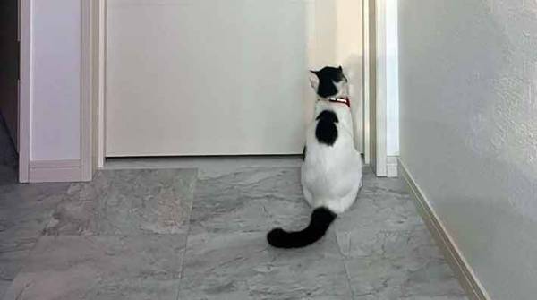 ドアの前で？　１枚に「背中がすべてを物語る」「泣けてくるなぁ」