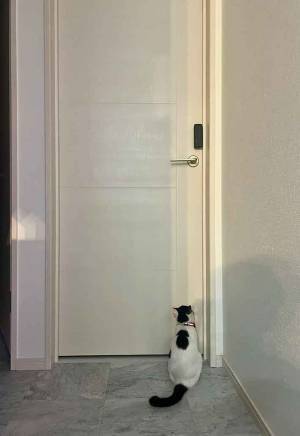 ドアの前で？　１枚に「背中がすべてを物語る」「泣けてくるなぁ」