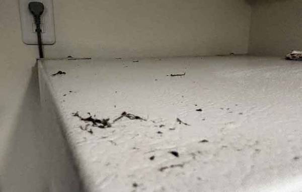 ベタベタな冷蔵庫が？　パナソニックの方法で「キレイになった」「気持ちがいい」