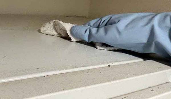 ベタベタな冷蔵庫が？　パナソニックの方法で「キレイになった」「気持ちがいい」