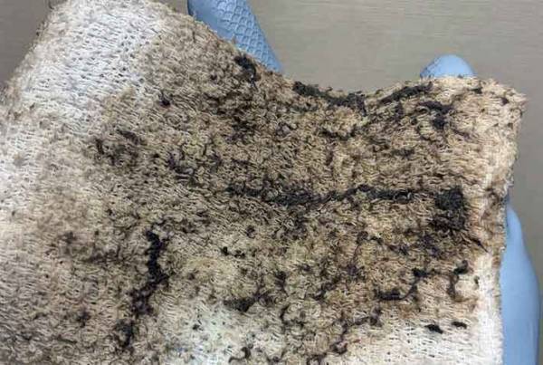 ベタベタな冷蔵庫が？　パナソニックの方法で「キレイになった」「気持ちがいい」