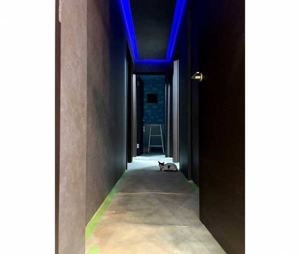 暗い廊下にポツンといるのは？　その正体に「なでなでしてほしそう」「健気だ」