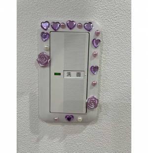 洗面所の照明を付けようとしたら…　スイッチの写真に「センスありすぎ」