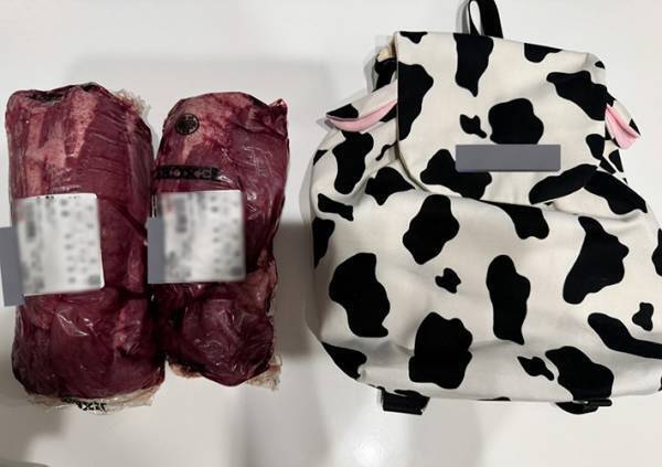 母親「背負ってもらいました」　１歳娘のリュックに入っていたのは？