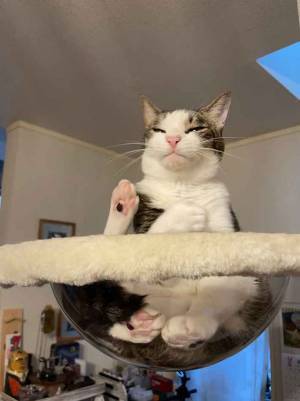 二度と撮れそうにない表情…　１枚に「笑った」「ご利益ありそう」