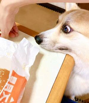 「目が、マジ」　マックの『月見バーガー』を食べていると？