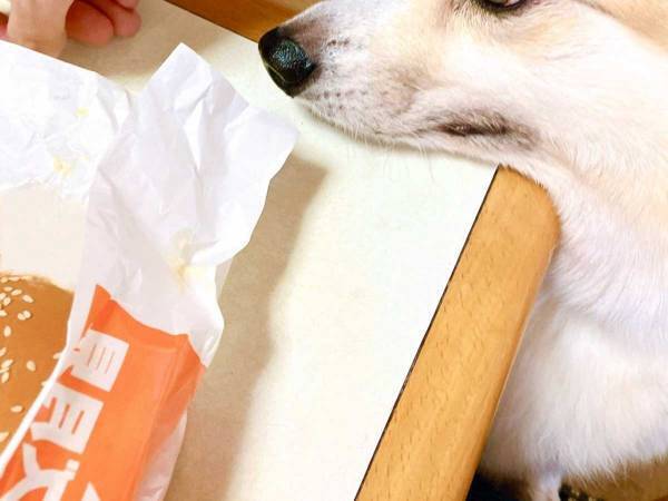 「目が、マジ」　マックの『月見バーガー』を食べていると？