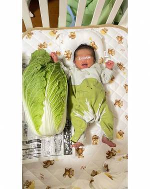 母親「息子に白菜の服を着せたら…」　隣に置かれたものが？「デカすぎる」