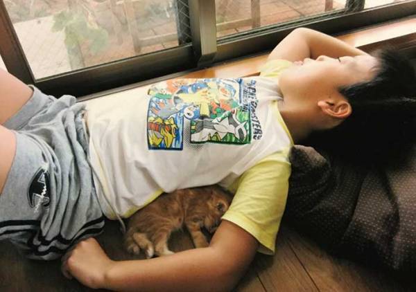 男の子の背中で寝る猫　数年後を写した写真に心打たれる