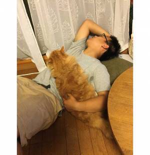 男の子の背中で寝る猫　数年後を写した写真に心打たれる