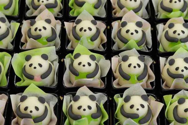 和菓子職人がクイズ？　１頭だけ違うパンダに「秒で見つけた」「幸せ探し」