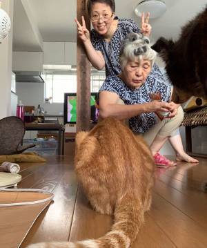 娘「１００歳まで作り続けてほしい！」　母親の作品公開に「レベルが高すぎる」