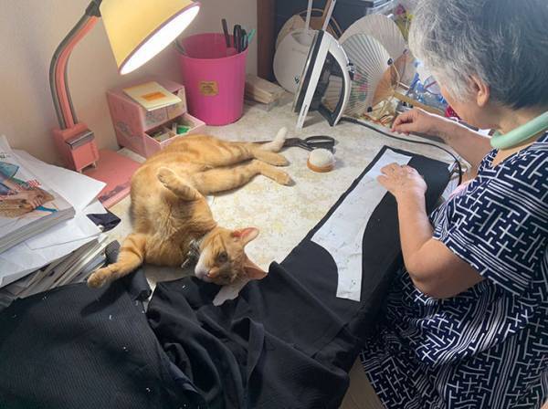 娘「１００歳まで作り続けてほしい！」　母親の作品公開に「レベルが高すぎる」