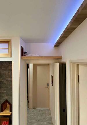 猫がお見送り？　水道業者が放ったひと言に「分かる～」「さては…」