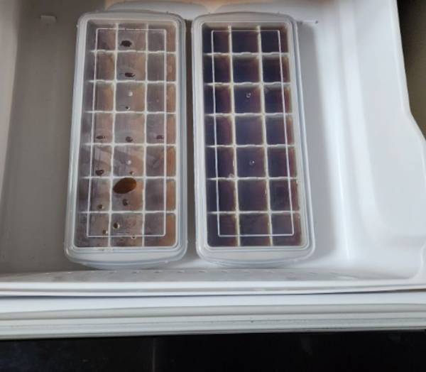 「やってみたい」「早く知りたかった」　溶けてもおいしいストック必須の氷とは