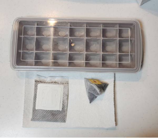 「やってみたい」「早く知りたかった」　溶けてもおいしいストック必須の氷とは