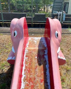 公園の滑り台が？　「気付いてない…」１枚に『１３万いいね』