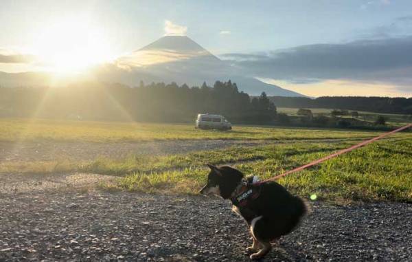 富士山をバックに愛犬を撮影すると？　タイミングに「吹いた」「運気が上がりそう」