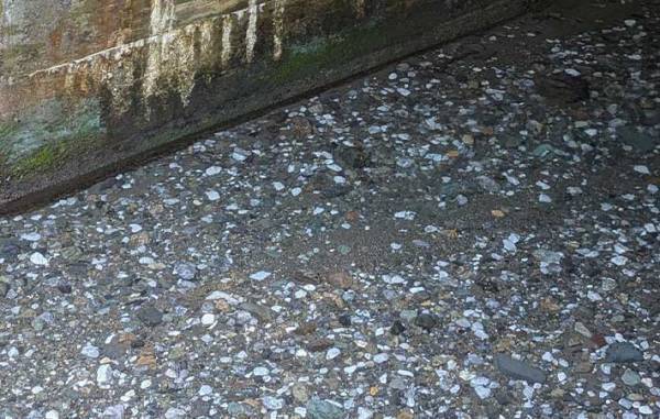 「マジで見えん」　『きれいすぎて見えない川』がこちら！