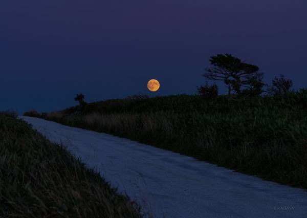 月と土星が一緒に…　写真家の１枚に「初めて見た！」「大感激」
