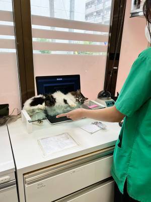 「もはやプロの嫌がらせ職人」　動物病院の１枚に「強い意志を感じる」