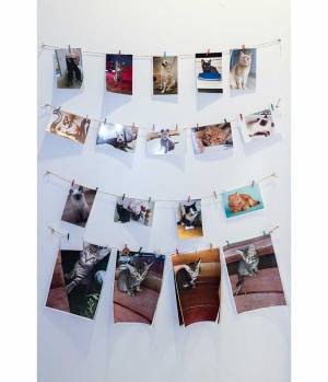 病院のベッドに横になったら？　見えた光景に「癒される」「いいアイディア」