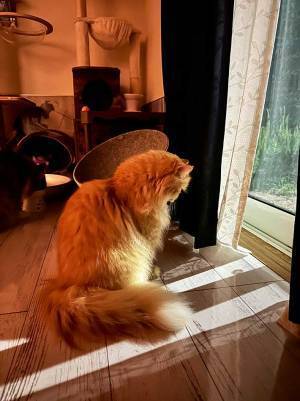 妻に「残業してから帰る」と送ったら…　返信に「急いで帰ってあげてー！」