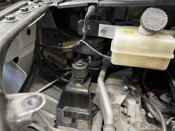 「黒猫を譲ってください」と投稿した男性　半年後？「涙が出た」「なんという奇跡」