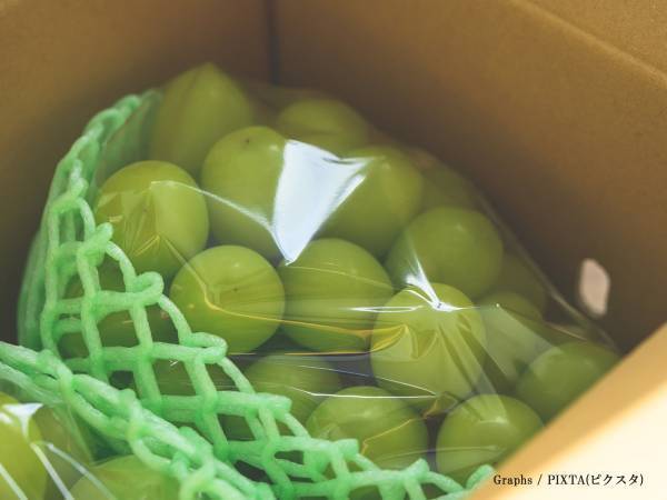 ふるさと納税の返礼品が届くと？　娘のひと言に「それ、猫やん」