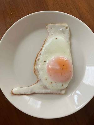 『１６万いいね』を集めた目玉焼き　１枚に「偶然だからいい」「この型作って」