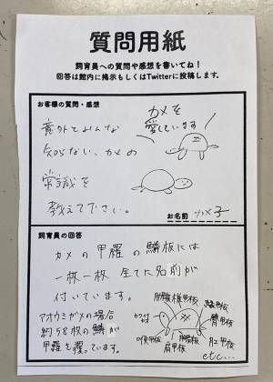 「カメの常識を教えて下さい」　飼育員の答えが…「知らなかった」「全部覚えたい」