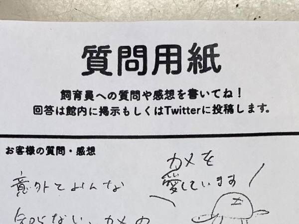 「カメの常識を教えて下さい」　飼育員の答えが…「知らなかった」「全部覚えたい」