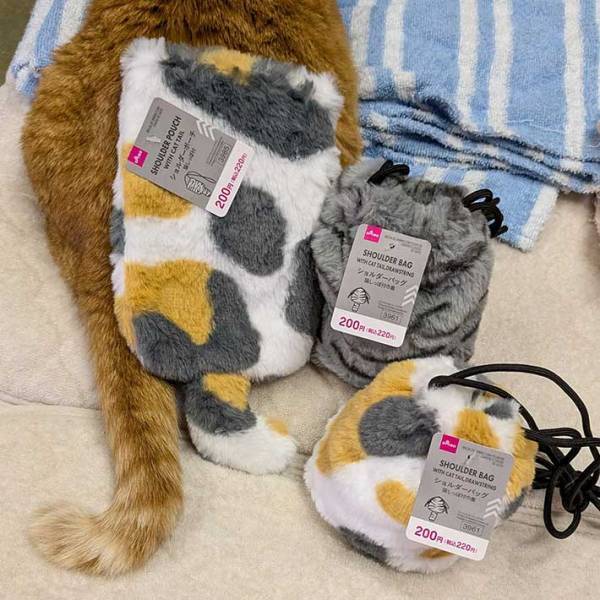 「ダイソー、許さん！」　買ってきたものに「こんなにかわいいものを売りおって…」