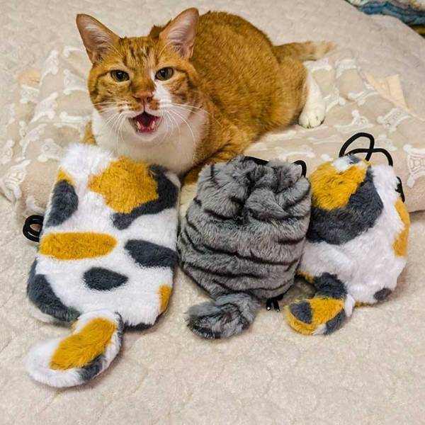 「ダイソー、許さん！」　買ってきたものに「こんなにかわいいものを売りおって…」