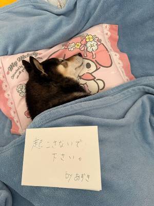 ベッドのメモ「起こさないでください」　寝ていたのは…「分かりました。静かに吸います」