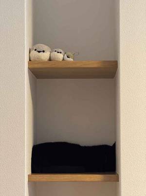 「ネコちゃんを探せ」　自宅の１枚に「おかしい、深淵がある」