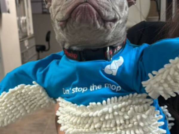 「まさにWin-Win」「爆笑した」　遊んでいる犬が着ているのは…？