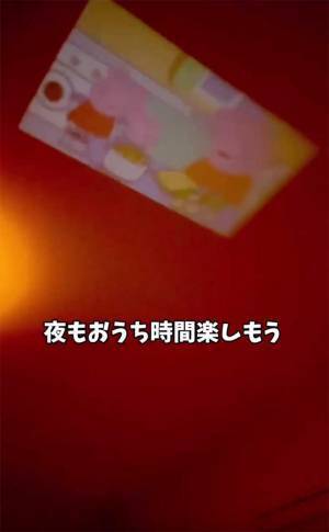 余った空き箱、どうしてる？　驚きの活用法が「すごすぎ」