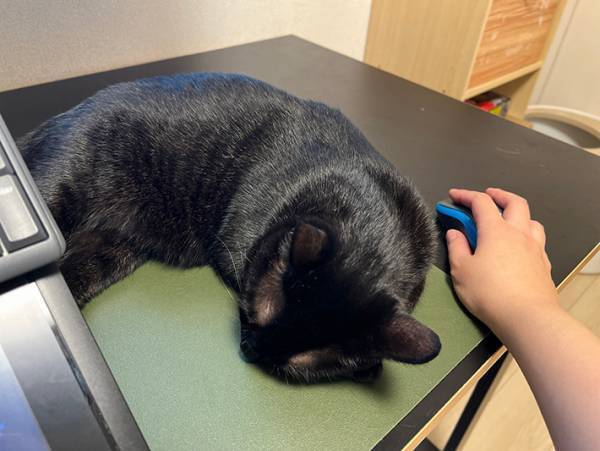 大きな机を買った漫画家　作業ができなくなったワケに「あるある」