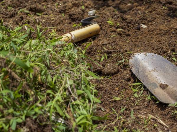 庭の雑草、放置してない？　草取りをラクにするアイテムに「サクサク抜けそう」