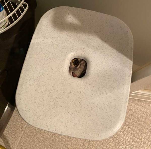 「笑いすぎて悶絶してる」　浴室の光景に『１０万いいね』の理由が？